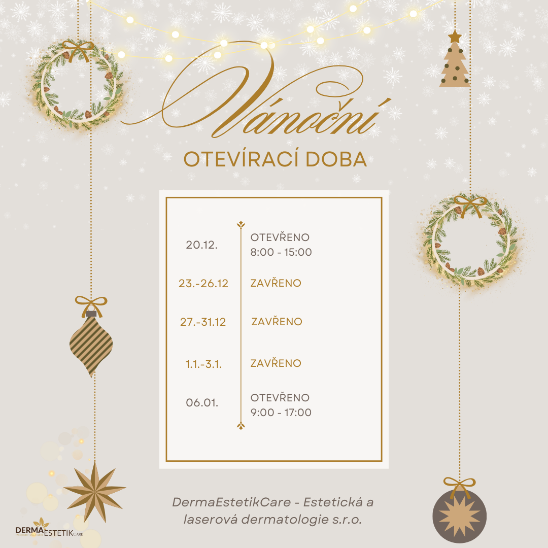 Gold And Gray Illustrative Christmas Opening Hours Instagram Story (Příspěvek na Instagramu)-4